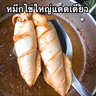 หมึกไข่ใหญ่แดดเดียว หมึกไข่