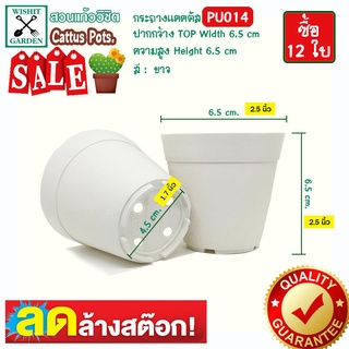 กระถาง PU014 ขนาด 2.5 นิ้ว สีขาว 12 ใบ เนื้อพลาสติกแน่นหนาทนทาน กระถางแคคตัส กระถางกระบองเพชร