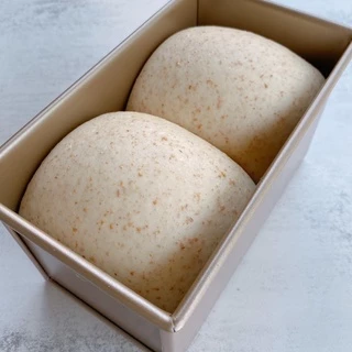 แป้งโฮลวีท เนื้อละเอียด Moulins Bourgeois stone ground whole wheat T150 แป้งโฮลวีทฝรั่งเศส