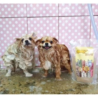 แชมพูและครีมนวด Chiffon Pet Clean : สำหรับสัตว์เลี้ยงที่คุณรัก❤️