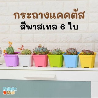 🌵ชุด 6 ใบ🌵กระถางแคคตัส 3 นิ้ว สีพาสเทล 6 สี คละสีสวยมาก กระถางกระบองเพชร กระถางพลาสติก กระถางทรงสี่เหลี่ยม กระถางรดน้ำ