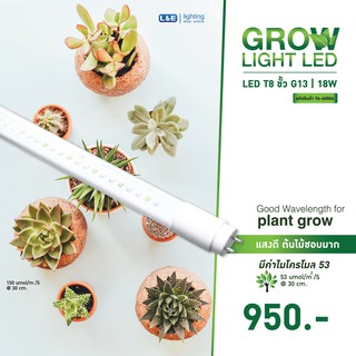 L&amp;E หลอดไฟปลูกพืช LED T8 กำลังไฟ 18W ขั้วหลอด G13 รุ่น Innovation HLT8