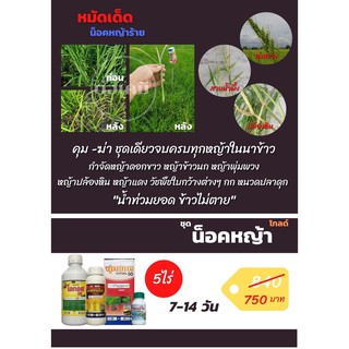 ชุดน็อคหญ้า-โกลด์ คุม-ฆ่า 7-14 วัน กำจัดหญ้าดื้อหญ้าในนาข้าว 1ชุด 5ไร่ ชุดเดียวจบครบทุกหญ้า น้ำท่วมยอดข้าวไม่ตาย