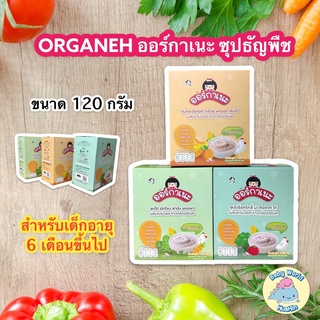 ORGANEH ออร์กาแนะ ซุปธัญพืช เข้มข้น สำหรับเด็ก 6 เดือน+ อาหารเด็ก ข้าวเด็ก ขนาด 120 กรัม