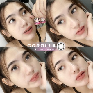 COROLLA GRAYรุ่นเทานัว ตาฉ่ำละมุน