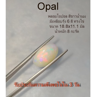 เม็ดใหญ่ พลอยโอปอล สีขาวน้ำนม Opal มีเหลือบรุ้ง 6สี ทรงไข่18.8*11.1 mm. 8 กะรัต เหมาะทำฝังพลอยเม็ดเดี่ยว พลอยแท้ธรรมชาติ