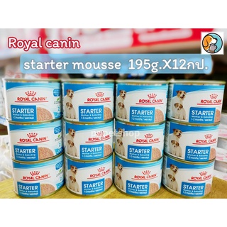 Royal Canin Starter Mousse โรยัล คานิน สำหรับแม่สุนัข ตั้งท้อง6สัปดาห์ขึ้นไป ให้นมและลูกสุนัขหย่านมอายุ1-2เดือน 195gx12