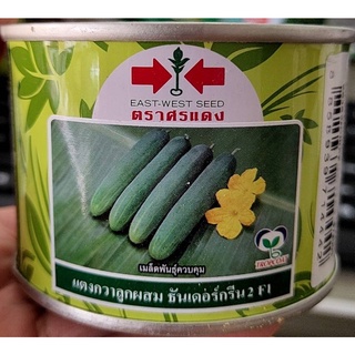 แตงกวา แตงกวาลูกผสม🥒หมดอายุ27/08/2566🥒เมล็ดพันธุ์แตงกวาลูกผสม ธันเดอร์กรีน2 บรรจุ50 กรัม ติดผลดก ต้นแข็งแรง