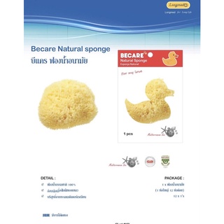 ฟองน้ำ ลูกเจี๊ยบ Becare ของแท้ 100% ลูกเจี้ยบ ฟองน้ำลูกเจี๊ยบ Natural Sponge ฟองน้ำอนามัย ฟองน้ำแท้จากธรรมชาติ