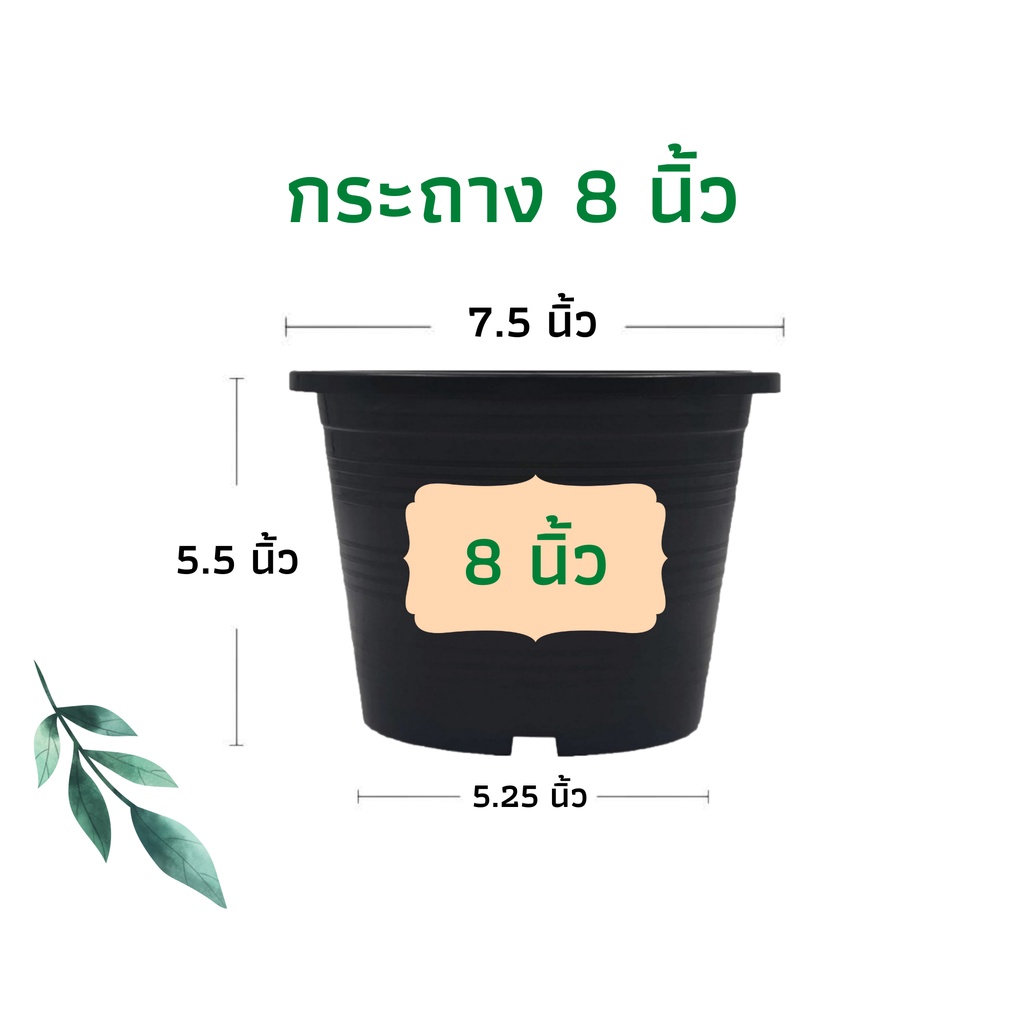 กระถางต้นไม้ 8 นิ้ว กระถางพลาสติก กระถาง สีดำ (รุ่นหนา)