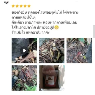 เหยื่อกำจัดหอย ขนาด 300 กรัม สารกำจัดหอยทาก ยาฆ่าหอยทาก ยาฆ่าหอย สารกำจัดหอย ฆ่าหอย ยากำจัดหอยทาก