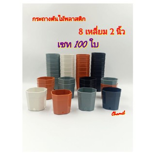 กระถางต้นไม้ 2 นิ้ว เซท 100 ใบ (8 เหลี่ยม) กระถางต้นไม้พลาสติก กระถางแคนตัส สีดำ สีขาว สีส้มอิฐ สีเทา