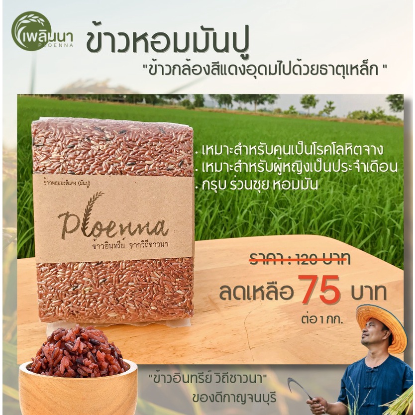 ข้าวเพลินนา ข้าวมันปู บรรจุถุงสุญญากาศ 1กิโลกรัม [Ploenna rice : Thai organic Riceberry rice 1 kilogram]