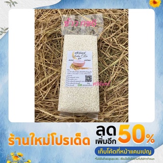 ข้าวเหนียว กข6🌾🌾🌾🌾🌾🌾