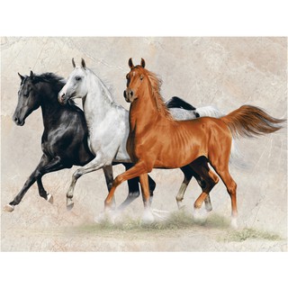 กระเบื้องผนังภาพชุด ROMANO HORSE SET(B) 90X120*A (30X60CM/6 แผ่น/ชุด)