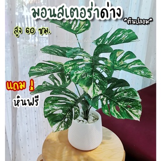 ต้นมอนสเตร่าด่าง *ต้นไม้ปลอม 12ใบ พร้อมกระถาง /ต้นสูง 60cm แถมหิน ฟรี!!