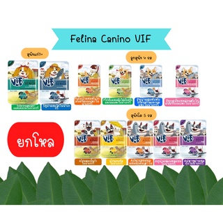 (ยกโหล) Felina Canino VIF เฟลินา คานิโน วิฟ อาหารเปียกสุนัข ชนิดซอง ขนาด 75 กรัม