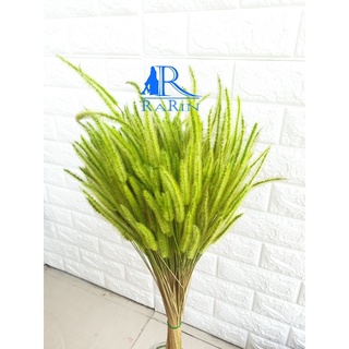 Rarin ดอกหญ้าหางกระรอก (สี เขียวอ่อน) เป็นดอกไม้ธรรมชาติ ย้อมสี แต่งร้าน พร๊อพถ่ายรูป DIY