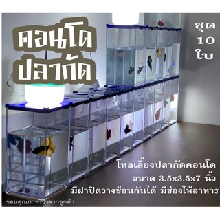 โหลปลากัด พลาสติกใส ชุด10ใบ ขนาด3.5x3.5x7นิ้ว พร้อมฝาปิด วางซ้อนได้ ตู้ปลากัด โหลเลี้ยงปลาคอนโด