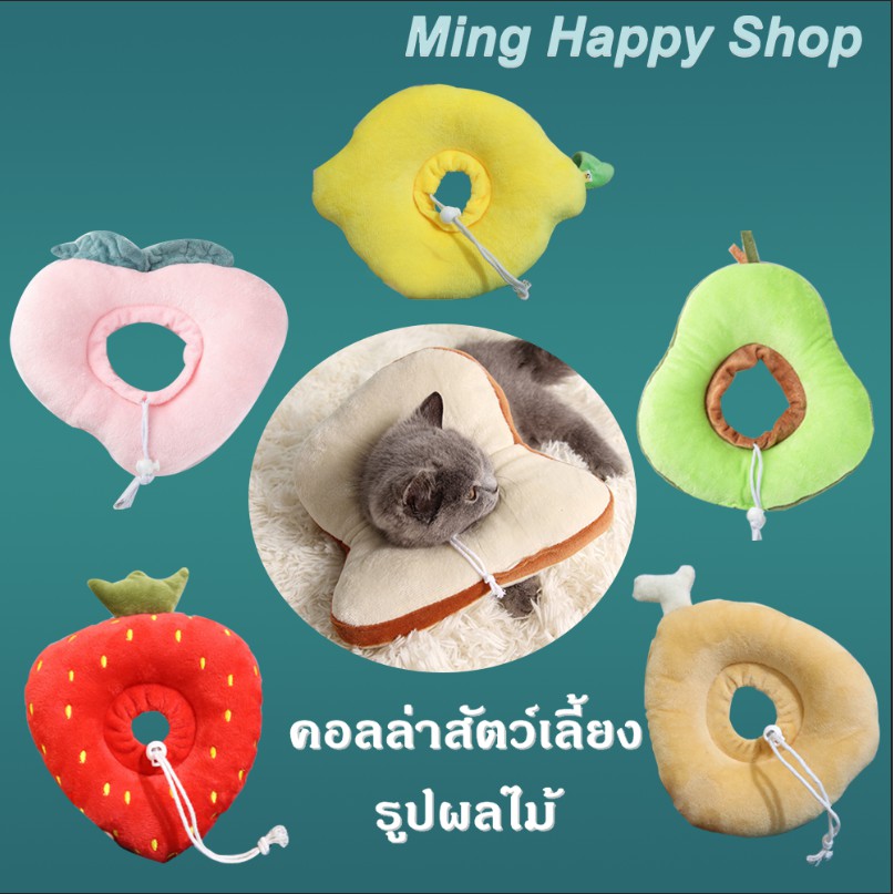 Ming คอลล่าสัตว์เลี้ยง คอลล่ารูปผลไม้ ปลอกคอกันเลีย มีหลายแบบให้เลือก พร้อมส่ง