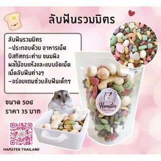 [Hamsterthailand] ลับฟันรวมมิตร อาหาร ขนม สำหรับสัตว์เลี้ยง แฮมสเตอร์ เม่นแคระ แฟตเทล ไจแอ้น