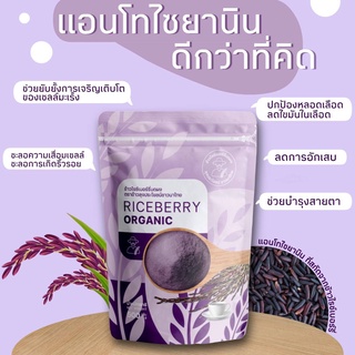 7.7💜 จมูกข้าวไรซ์เบอรี่ Riceberry 500g.