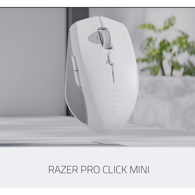 สินค้าพร้อมจัดส่ง เม้าส์ RAZER PRO CLICK MINI ของแท้ ของใหม่ รับประกัน ...