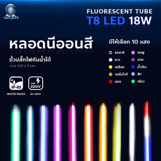 [Elighting] หลอดนีออนสีกันน้ำ ขั้วปลั๊กไฟ 2IN1 ไฟงานวัด หลอดนีออนสี หลอดไฟสี หลอดงานวัด