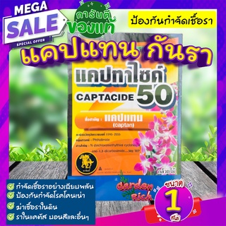 ยากันรา 💦 แคปแทน 1 กิโล (Captan - Captacide 50) ราในกระบองเพชร ไม้อวบน้ำ แคคตัส ไม้ประดับ ยาเพาะเมล็ด ฆ่าเชื้อราในดิน