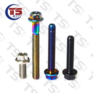 Ts M6 สกรูไทเทเนียมอัลลอย GR5 ด้านใน ด้านนอก ผ้าสักหลาด M6X15-50 มม. สําหรับรถจักรยานยนต์