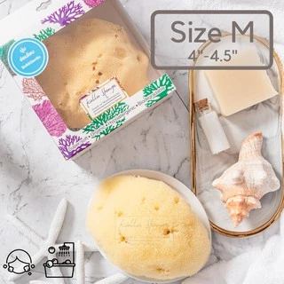 KALLA SPONGE ฟองน้ำธรรมชาติ ชนิด Fine Silk สีเหลือง ฟองน้ำ สำหรับล้างหน้าและอาบน้ำ เด็กและทารก