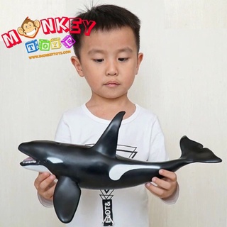 Monkey Toys โมเดลสัตว์ Whale ปลาวาฬ เพชฌฆาต ขนาด 42.00 CM แบ…