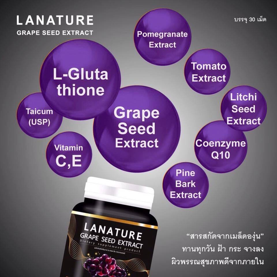 เมล็ดองุ่น Lanature Grape Seed Extract