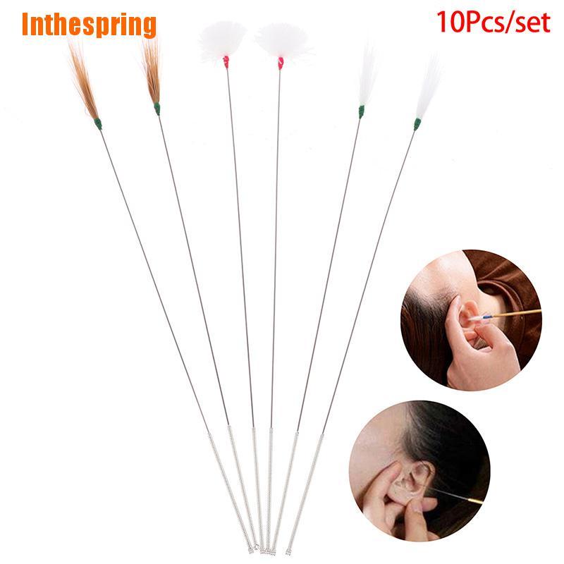 (Inthespring) 10 หูห่าน