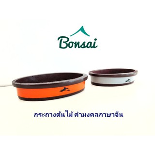 กระถางต้นไม้ พิเศษ..สุดคุ้ม // 35 บาท