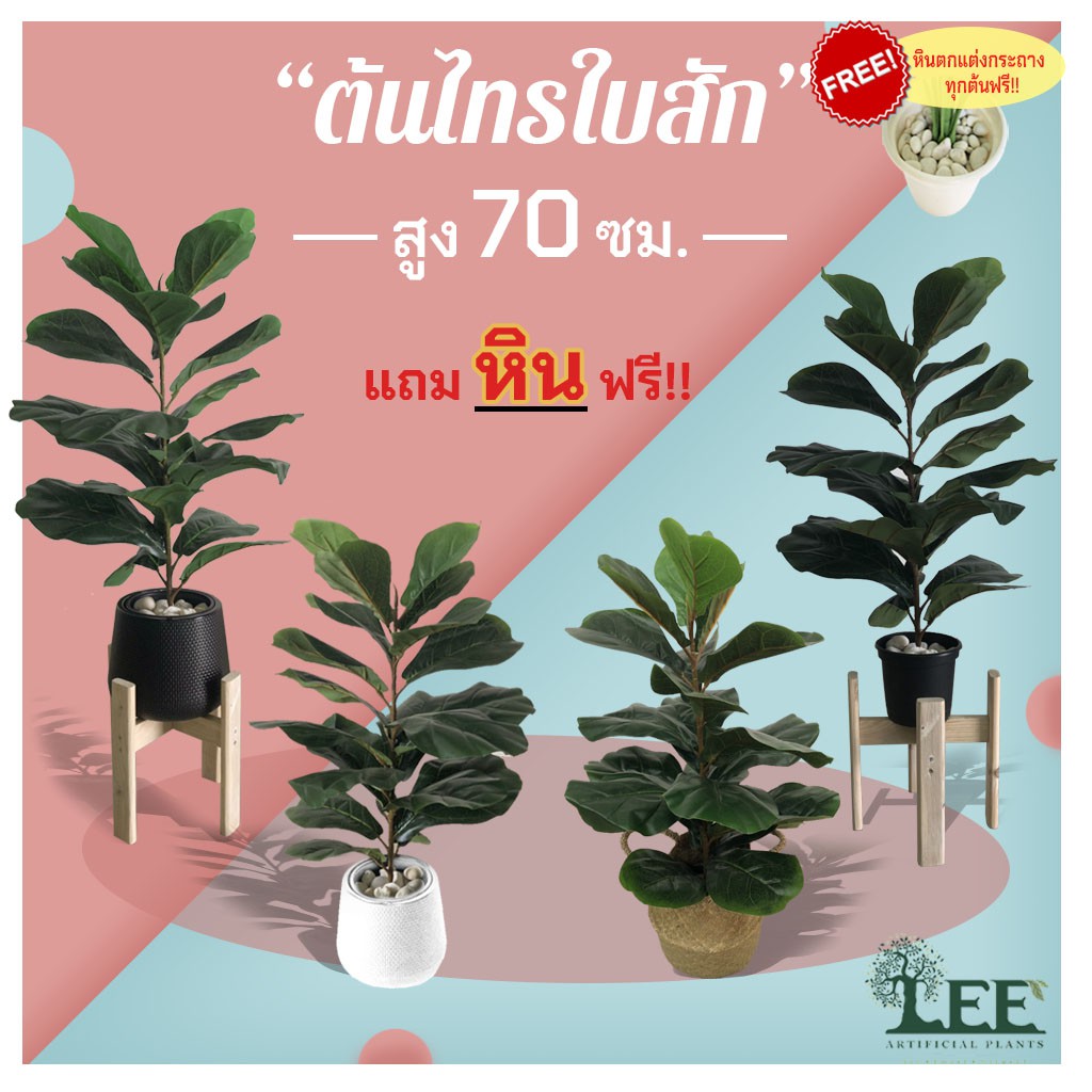((ต้นไม้ยอดนิยม!)) ต้นไทรใบสักเสมือนจริง สูง 70 ซม. พร้อมกระถาง+แถมหินฟรี !!!  #ต้นไม้ปลอมตกแต่งบ้าน Leeartplants