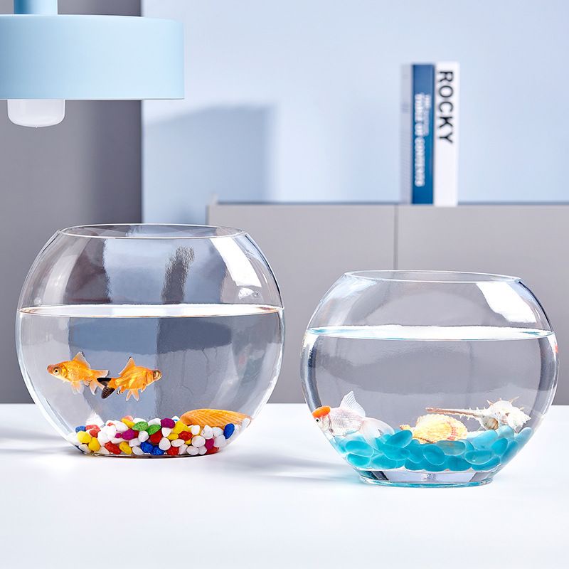 RTNS SHOP : โหลแก้วสำหรับเลี้ยงปลาสวยงาม ตู้ปลาทอง ตู้ปลาขนาดเล็ก มี 12 ขนาด ☆ - รูปที่ 2