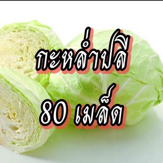 เมล็ดผักกะหล่ำปลี เมล็ดผักสวนครัว เมล็ดผัก5บาท