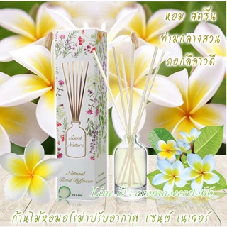 💥ใหม่ 💥 กลิ่นดอกลีลาวดี 🌺🌸🌼 ก้านไม้หอมปรับอากาศ 50ml.