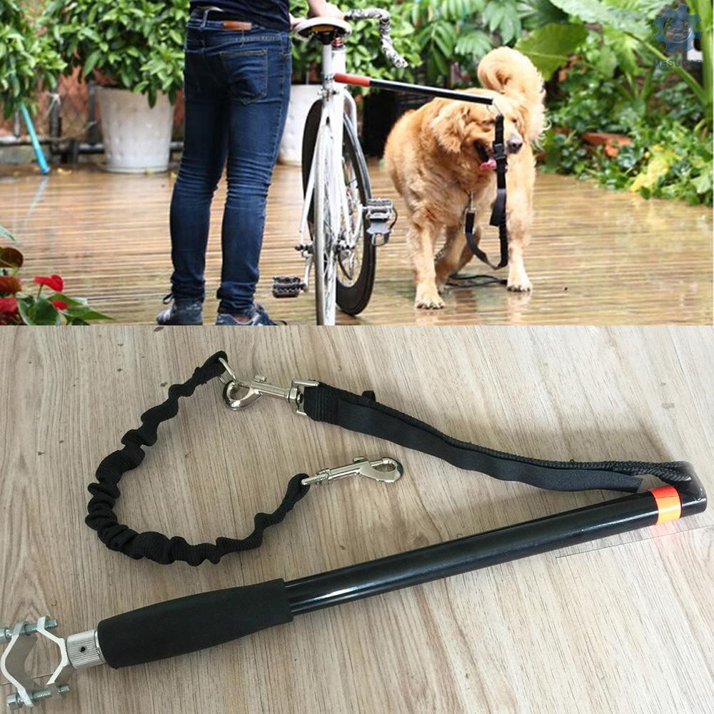 Ready Dog et Leash for Bike Exercise Hands Free Bike Walk Run