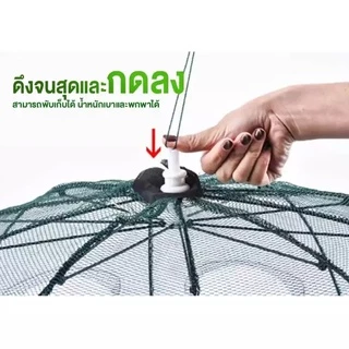 ปลีก/ส่งตาข่ายดักปลา ที่ดักกุ้งฝอย มุ้งดักปลา 4 ช่อง 6 ช่อง 8 ช่อง 10 ช่อง แพ็ค 5/10 ชิ้น