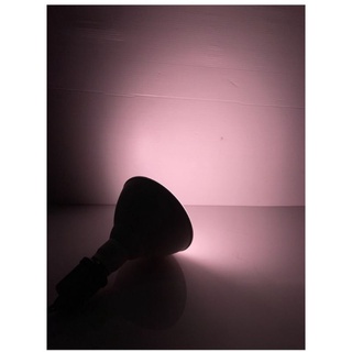 หลอดปลูกต้นไม้ LED ไม่ทำลายสายตา 👀 😎ยี่ห้อ L&amp;E รุ่น Innovation มีค่าไมโครโมล 165 รับประกัน1ปี