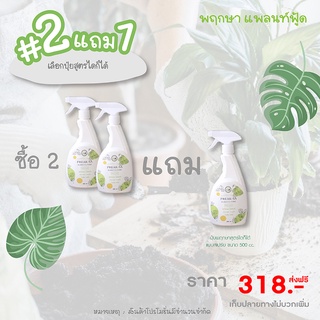 Promotion 2 free 1 (สินค้ามีจำนวนจำกัด / คละสูตรได้)