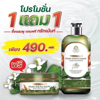 แชมพูพญายอพลูคาว แก้คันเชื้อรา ผมร่วง ของแท้จากบริษัท 1ขวด 250ml