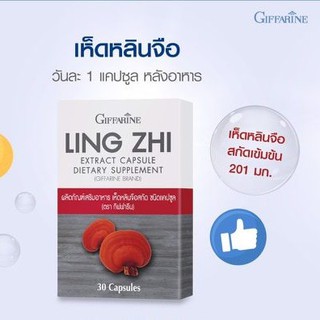 เห็ดหลินจือแดง Ling Zhi Infusion สกัดชนิดแคปซูล กิฟฟารีน บำรุงร่างกาย เบาหวาน ความดัน หัวใจ ลดไขมัน ปวดประจำเดือน