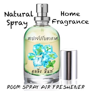 Spray Air Freshener กลิ่น COOLING MINT 60ml