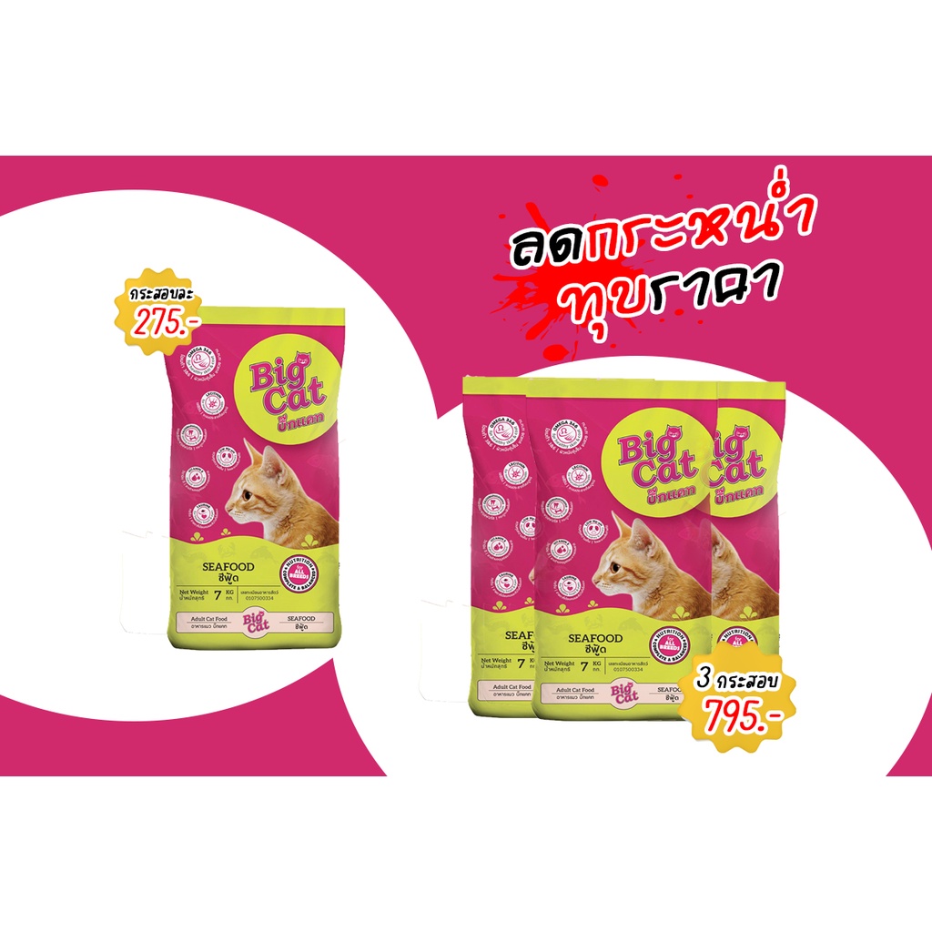 BIGCAT บิ๊กแคท 7 กก. รสซีฟู้ด | Shopee Thailand