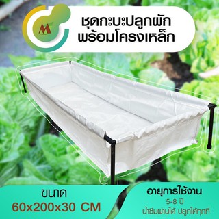 กระบะปลูกผักพร้อมโครงเหล็ก กระบะ กระบะแปลงผัก เพาะชำ ขนาด 60x200x30 cm.