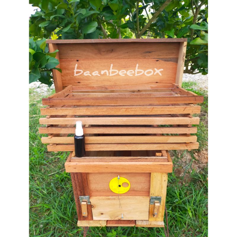 กล่องเลี้ยงผึ้งโพรงป่าพร้อมคอนสามสาย6คอนและฟีโรโมน50ml.1ขวด