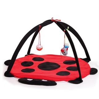 LWS163101HisoPets ของเล่นแมวเต่าทอง